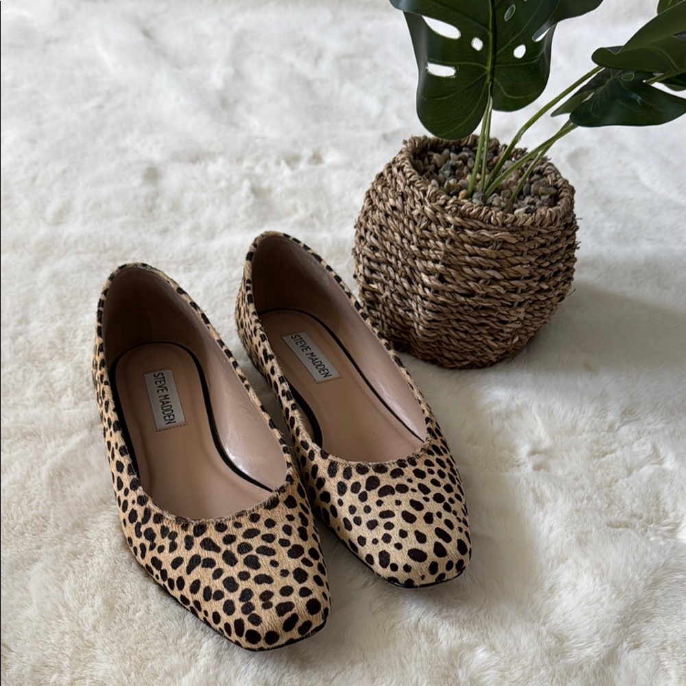 Steve Madden Leopard Print Women's Shoes